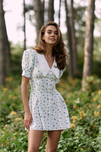 Mini dress Blue - White