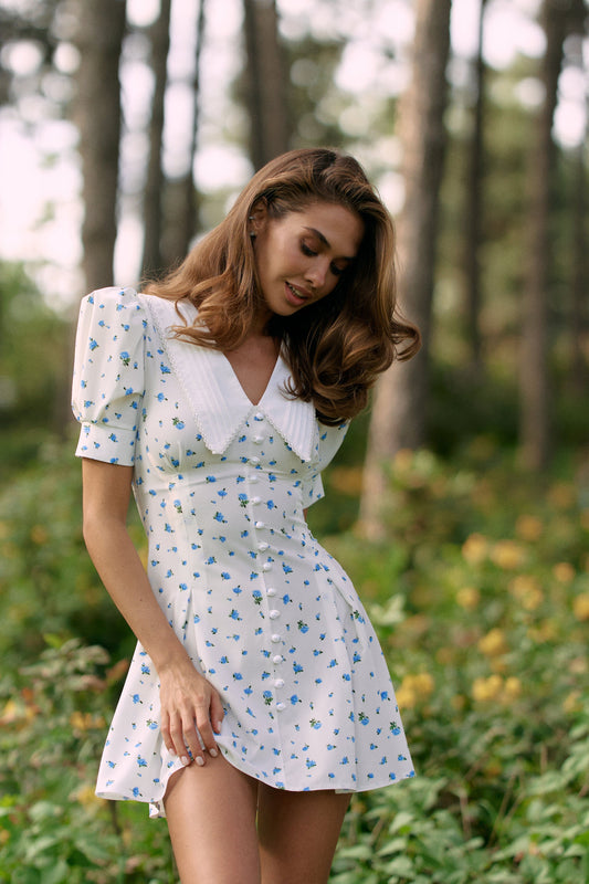 Mini dress Blue - White