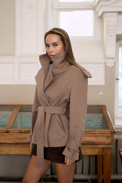 Trench coat Brown